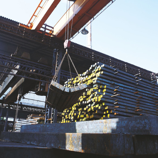 mahavir product and application