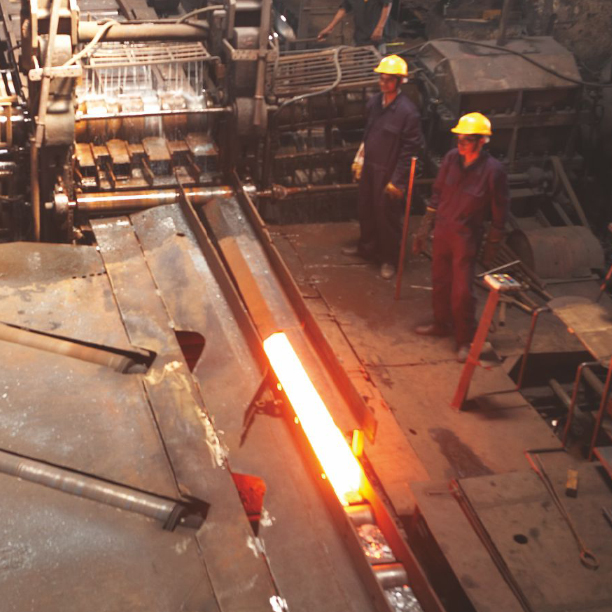 mahavir product and application